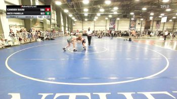 138 lbs Round Of 32 - Camden Baum, TNWC Silver Fox vs Nico Fanella, Micky's Maniacs Blue