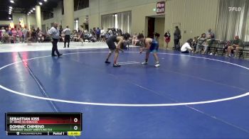 126 lbs Cons. Round 5 - Sebastian Kiss, St. Johns Silverbacks vs Dominic Chimeno, Tennessee Valley Wrestling Clu