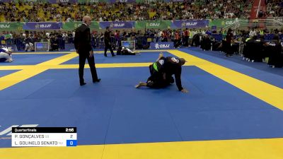 PERCIO GONÇALVES vs LEONARDO GOLINELO SENATORE 2024 Brasileiro Jiu-Jitsu IBJJF