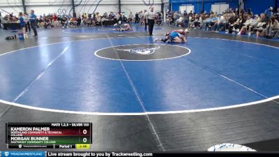 Silver 133 lbs Cons. Round 2 - Kameron Palmer, Northland Community & Technical College vs Morgan Bunner, Southeast Community College