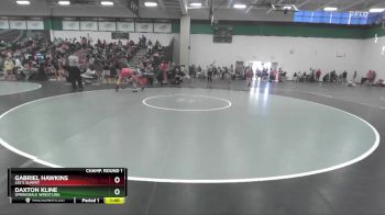 120 lbs Champ. Round 1 - Daxton Kline, Springdale Wrestling vs Gabriel Hawkins, Lee`s Summit