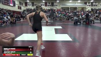 135 lbs Semifinal - Brielle Parke, Linn-Mar vs Destiny Krum, East Buchanan