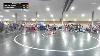 56 lbs Round Of 16 - Hector Guzman, Albritsville vs Connor Shay, Towanda