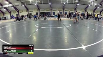 165 lbs Cons. Round 5 - Alaa Aly, Unattached-Edinboro vs Marty Landes, Case Western Reserve