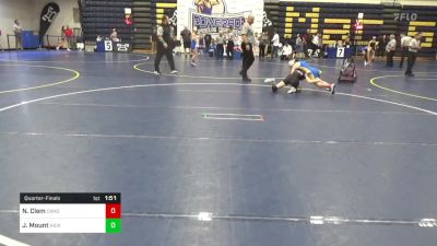 100 lbs Quarterfinal - Natalia Clem, Canon-McMillan vs Jillian Mount, Hickory