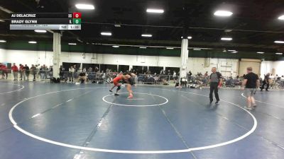 132 lbs Round Of 128 - Aj DeLaCruz, SC vs Brady Glynn, IL