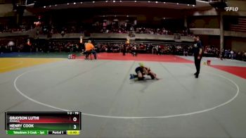 70 lbs Quarterfinal - Henry Cook, Waconia vs Grayson Luthi, MAHACA