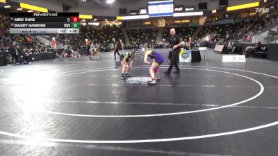 110 lbs Champ. Round 1 - Abby Duke, Elmira College vs Daisey Hawkins, York