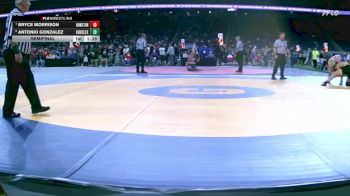 D2-150 lbs Semifinal - Bryce Morrison, Hamilton vs Antonio Gonzalez, Croswell-Lexington