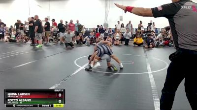 76 lbs Round 3 (4 Team) - Quinn Larsen, Validus WC vs Rocco Albano, Killa Bees