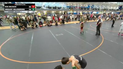 113 lbs Champ. Round 1 - Koa DeLoach, Unattached vs Gregory Hellendrung, Unattached