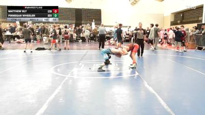 81 lbs Rr Rnd 1 - Matthew Bly, CTWHALE Orca - MSE vs Finnegan Wheeler, Revival Oange