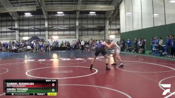 197 lbs 7th Place Match - Haven Tatarek, Castleton University vs Gabriel Rodrigues, New York University