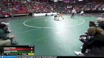 D1-120 lbs Quarterfinal - Lucas Peters, Kaukauna vs Hudson Halter, Waterford