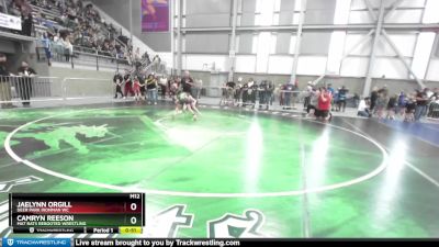 74-80 lbs Cons. Semi - Jaelynn Orgill, Deer Park Ironman WC vs Camryn Reeson, Mat Rats Rebooted Wrestling