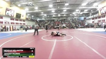 175 lbs Champ. Round 2 - Anthony Palermo, Pinnacle vs Nicholas Wellington, Hamilton High School