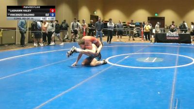 132 lbs Cons. Rd Of 16 - LaShawn Haley vs Vincenzo Baldino, Elite