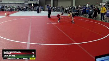 76 lbs Cons. Round 2 - Cayden McDonald, Hutchinson vs Tate Halver, Chaska/Chanhassen