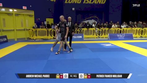 Patrick Francis Mulligan vs Andrew Michael Pardee 2025 Pan IBJJF Jiu-Jitsu No-Gi Championship