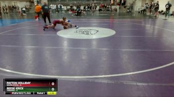 125 lbs Finals (8 Team) - Payton Holliday, Dover-Eyota vs Reese Krick, TMBWWG