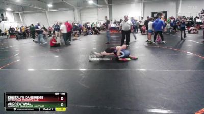 101 lbs Round 3 - Kristalyn Dandridge, Summerville Takedown Club vs Andrew Wall, Northeast Georgia Mat Monstars