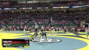 D3-132 lbs Cons. Round 2 - Brian Luft, Newark Cath. vs Gabe Chapa, Archbold