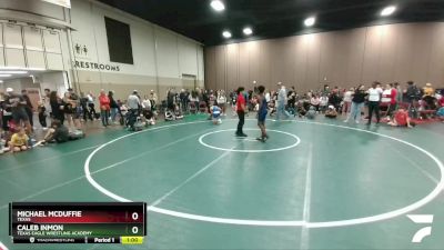 115-124 lbs Round 2 - Caleb Inmon, Texas Eagle Wrestling Academy vs Michael McDuffie, Texas