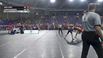 149 lbs Semis & 3rd Wb (16 Team) - Gavin Balmeceda, Life University vs Mike Loney, Indiana Tech