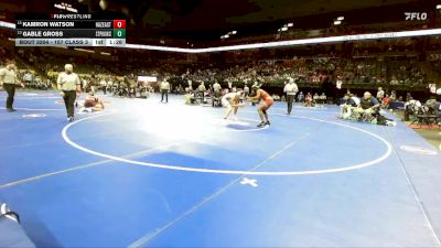 157 Class 3 lbs Quarterfinal - Gable Gross, St. Pius X (Kansas City) vs Kamron Watson, Hazelwood East