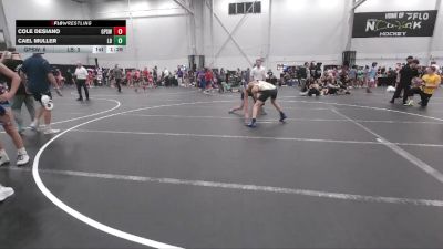 113 lbs Round 4 (6 Team) - Cael Muller, Lost Boys vs Cole Desiano, GPS White