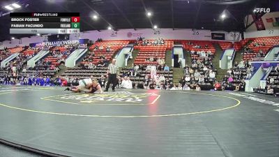 175 lbs Quarterfinals (8 Team) - Fabian Facundo, Freeland HS vs Brock Foster, Fowlerville HS