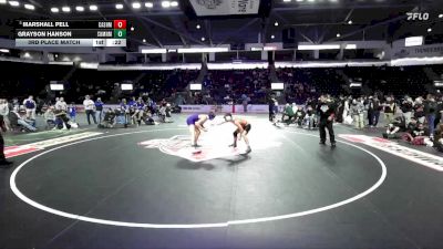 132 lbs 3rd Place Match - Marshall Pell, Cashmere vs Grayson Hanson, Sumner