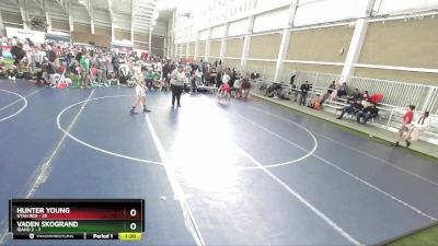 110 lbs Quarters & Wb (16 Team) - Hunter Young, Utah Red vs Vaden Skogrand, Idaho 2