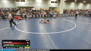 92 lbs Cons. Semi - Camden Rugg, WI vs Allen Woo, IL