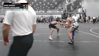 144 lbs Round 5 (6 Team) - Daniel Sheenan, CTWHALE vs Dominic Cadwallader, Division-1