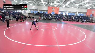 149 lbs Champ. Round 2 - Hayden Haber, Williams College vs Hunter Waneka, Penn State Behrend