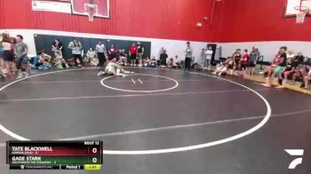 105 lbs Round 4 (6 Team) - Gage Stark, Southwest MO Stingers vs Tate Blackwell, Kansas Gold