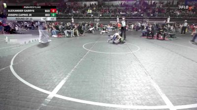 53 lbs Round Of 32 - Alexander Gabrys, Washington Y vs Joseph Caprio Jr, Orchard South WC