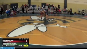 85 lbs Semifinal - Harper Hamacher, Pursuit Wrestling Minnesota vs Kegan Brown, Legends Of Gold