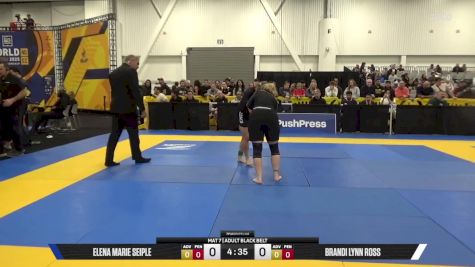 Brandi Lynn Ross vs Elena Marie Seiple 2025 World IBJJF Jiu-Jitsu No-Gi Championship