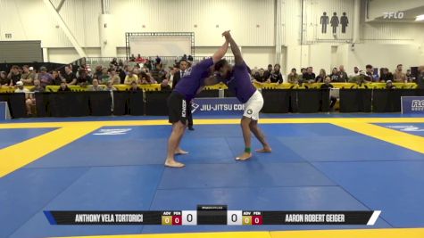 Aaron Robert Geiger vs Anthony Vela Tortorici 2025 World IBJJF Jiu-Jitsu No-Gi Championship