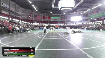 106 lbs Quarterfinal - Caleb Lombardo, Middleton vs Tobias Guillen, Meridian