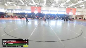 133 lbs Semifinal - Logan Patterson, RIT vs Isaias Torres, Ithaca