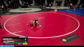 138 lbs Cons. Round 2 - Cole Herrmann, New Prague vs Dayton Dale, Forest Lake