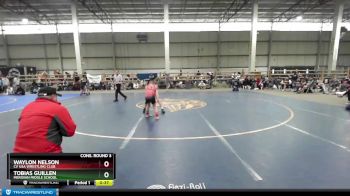 95 lbs Cons. Round 3 - Tobias Guillen, Meridian Middle School vs Waylon Nelson, CV USA Wrestling Club