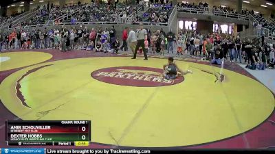 92 lbs Champ. Round 1 - Dexter Hobbs, Legacy Elite Wrestling Club vs Amir Schouviller, Hi Desert Mat Club