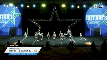 Wicked Elite - Itty Bitty Black Kitties [2023 L1 Tiny - Novice - Restrictions Day 1] 2023 Nation's Choice Grand Nationals