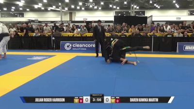 Julian Roger Harrison vs Daren Kawika Martin 2025 World Master IBJJF Jiu-Jitsu Championship