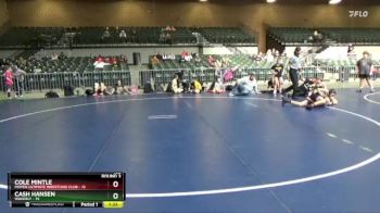 106 lbs Round 3 (4 Team) - Cole Mintle, Moyer Ultimate Wrestling Club vs Cash Hansen, Waverly