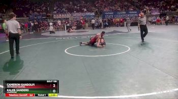 D 2 160 lbs Quarterfinal - Kaleb Sanders, Lakeshore vs Cameron Gandolfi, Archbishop Rummel